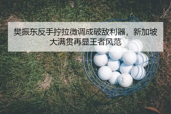 fan-zhen-dong-fan-shou-ning-la-wei-diao-cheng-po-di-li-qi-xin-jia-po-da-man-guan-zai-xian-wang-zhe-feng-fan-2-947.jpg
