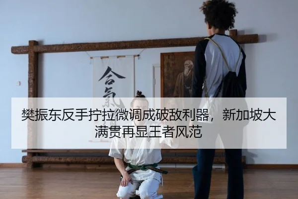 樊振东反手拧拉微调成破敌利器，新加坡大满贯再显王者风范